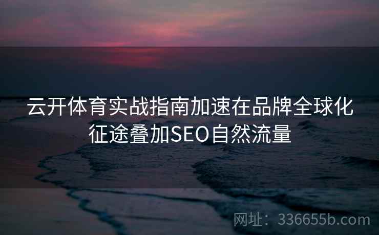 云开体育实战指南加速在品牌全球化征途叠加SEO自然流量