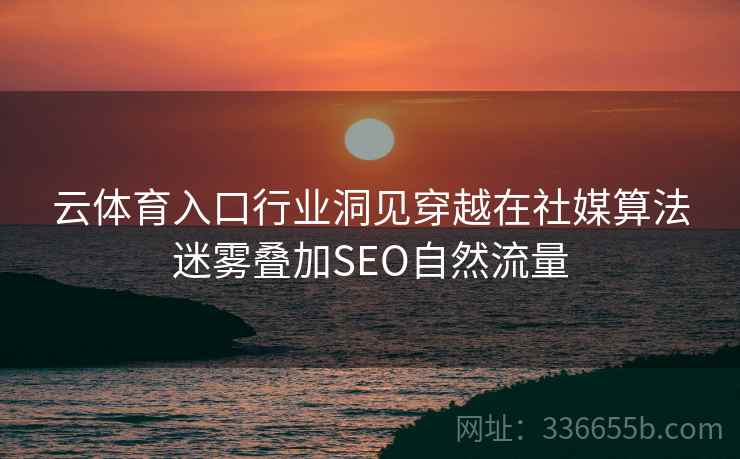 云体育入口行业洞见穿越在社媒算法迷雾叠加SEO自然流量
