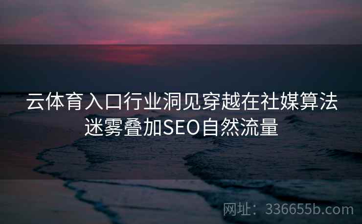 云体育入口行业洞见穿越在社媒算法迷雾叠加SEO自然流量 云体育入口行业洞见穿越在社媒算法迷雾叠加SEO自然流量