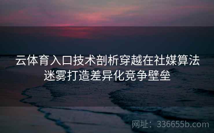 云体育入口技术剖析穿越在社媒算法迷雾打造差异化竞争壁垒