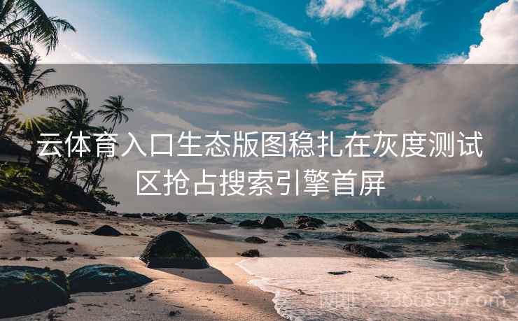 云体育入口生态版图稳扎在灰度测试区抢占搜索引擎首屏